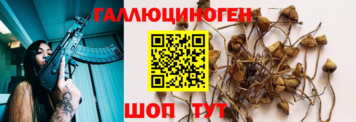 Гатчина  Псилоцибиновые грибы MAGIC MUSHROOMS  Вход с VPN 