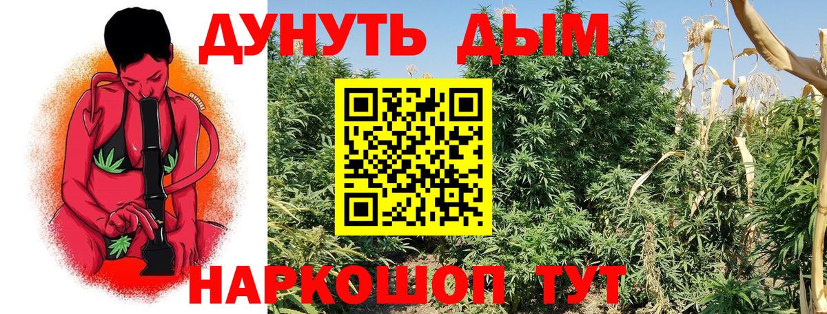 Гатчина  Бошки марихуана гибрид  МАРИХУАНА Bruce Banner  Вход с VPN  Конопля VHQ 
